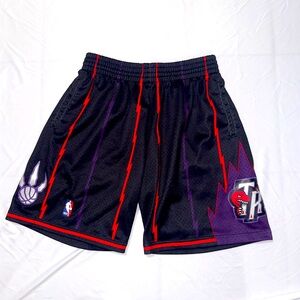 NBA Toronto Raptors HARDWOOD CLASSIC Vintage Shorts (Large)